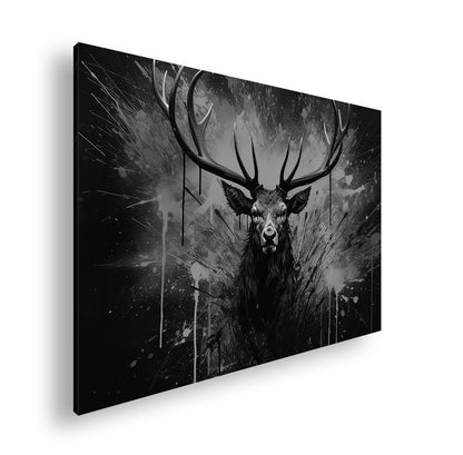 Hauptbild Schwarz & Weiß Standart