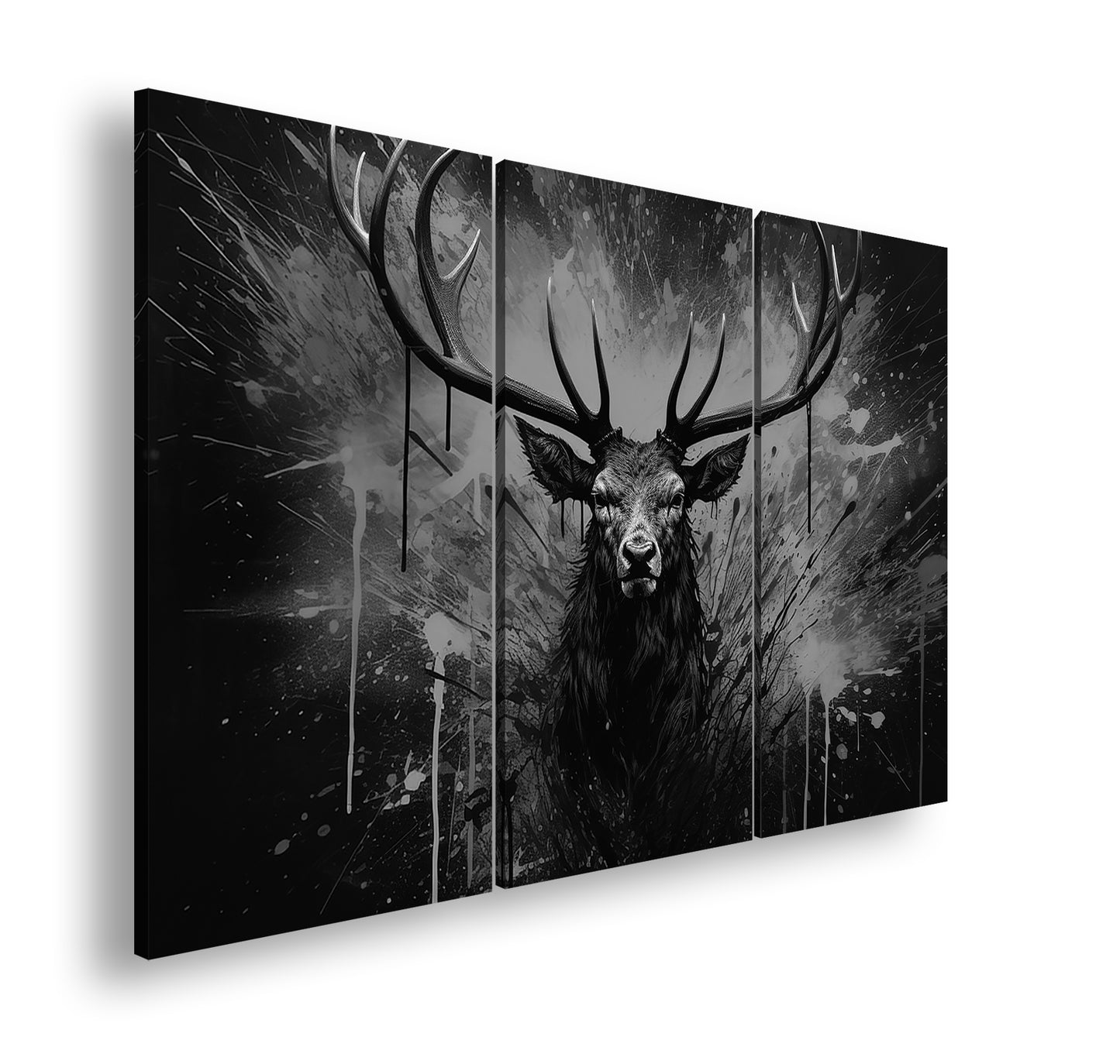 Hauptbild Schwarz & Weiß 3 Teilig