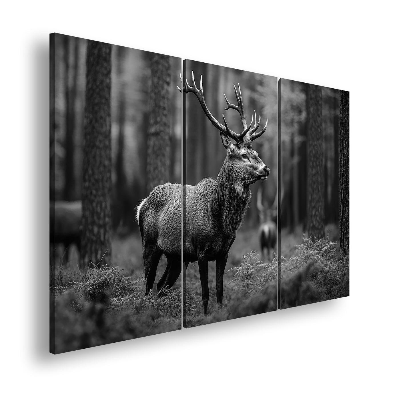 Hauptbild Schwarz & Weiß 3 Teilig