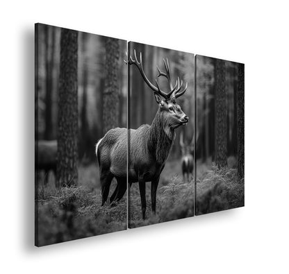 Hauptbild Schwarz & Weiß 3 Teilig