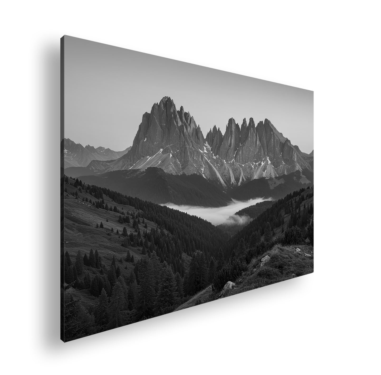 Hauptbild Schwarz & Weiß Standart