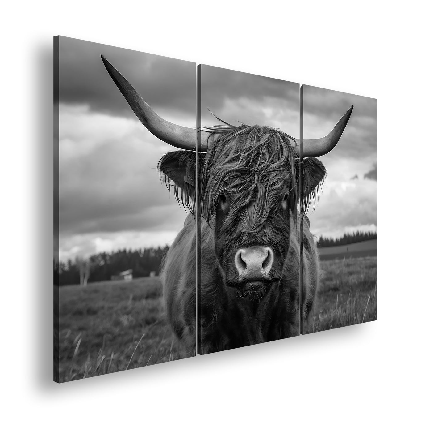 Hauptbild Schwarz & Weiß 3 Teilig