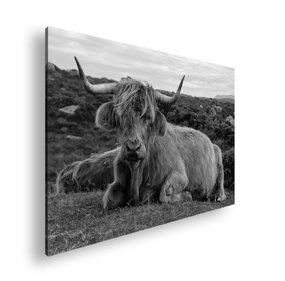 Hauptbild Schwarz & Weiß Standart