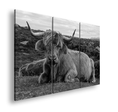 Hauptbild Schwarz & Weiß 3 Teilig