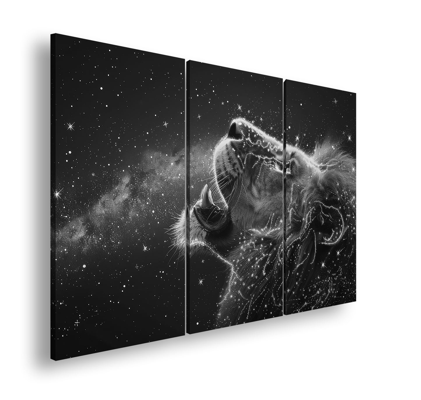 Hauptbild Schwarz & Weiß 3 Teilig