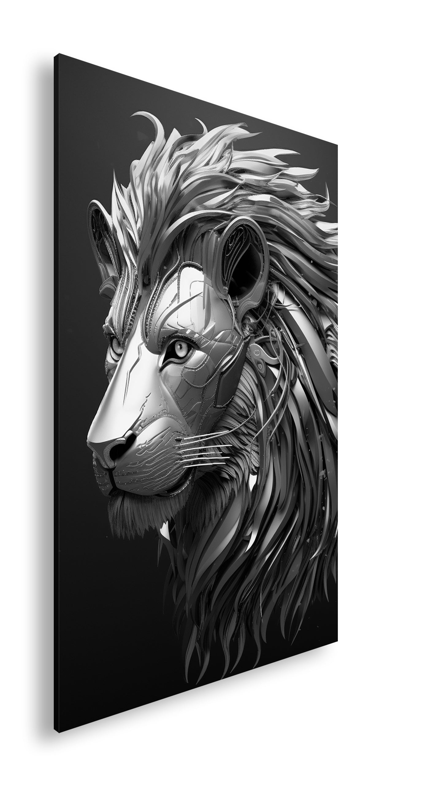 Hauptbild Schwarz & Weiß Standart