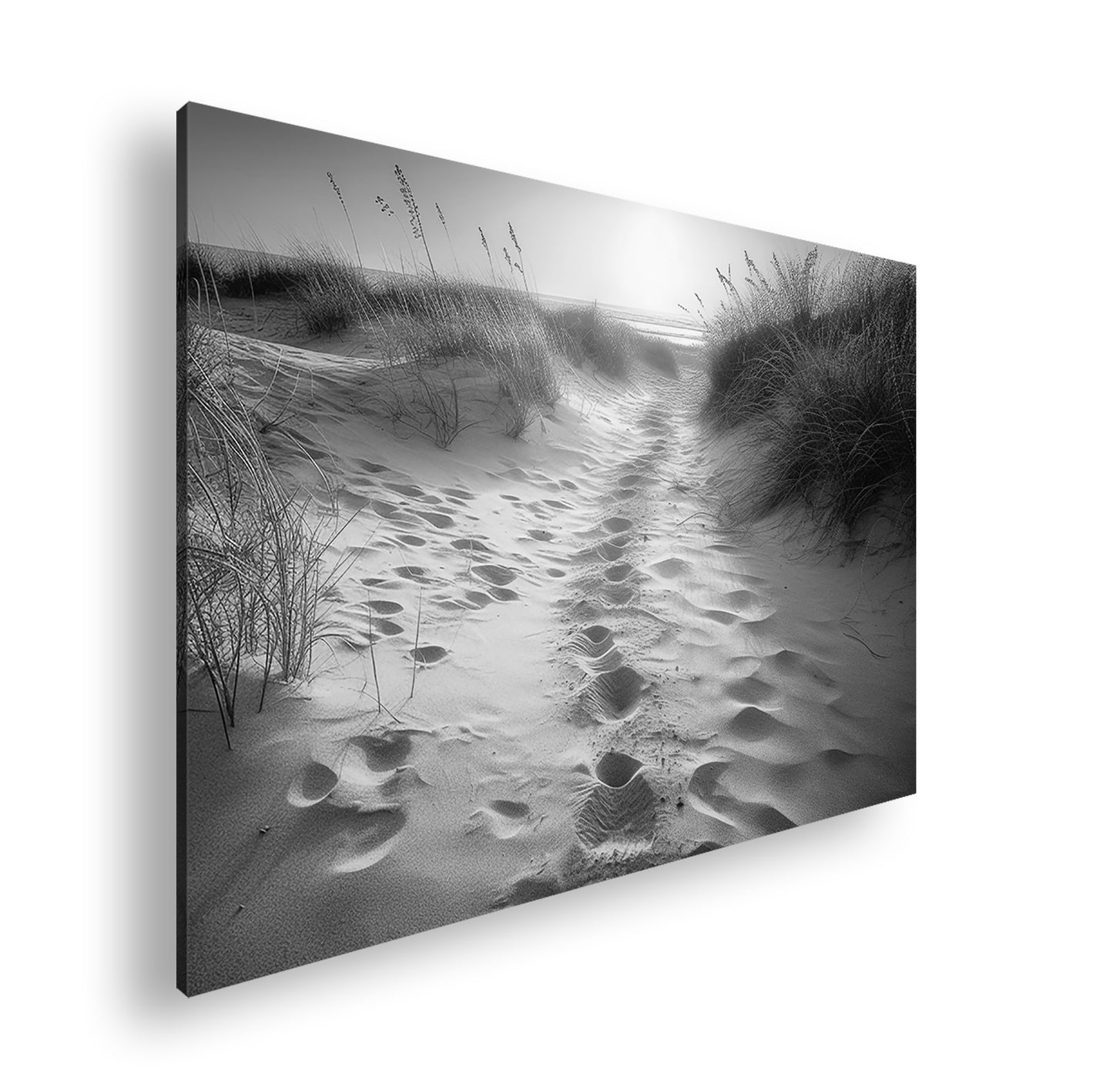 Hauptbild Schwarz & Weiß Standart