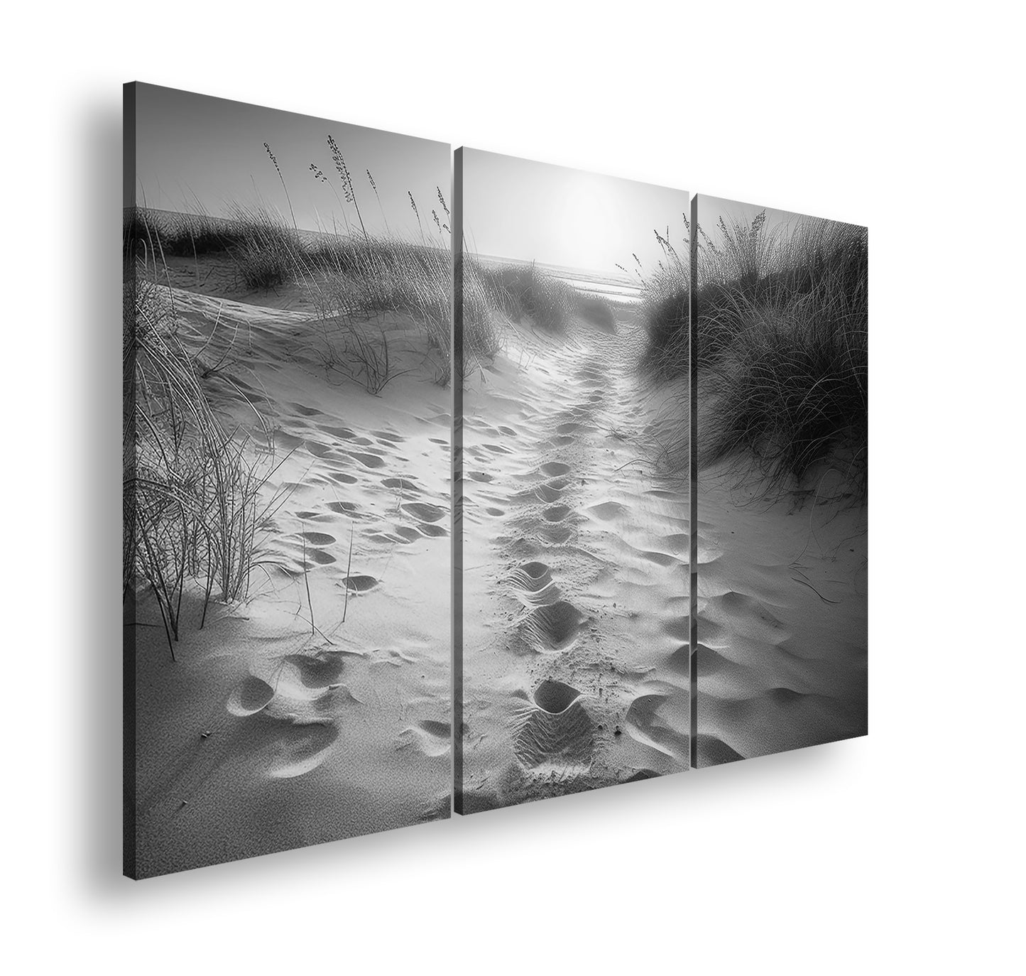 Hauptbild Schwarz & Weiß 3 Teilig