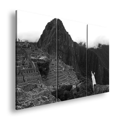 Hauptbild Schwarz & Weiß 3 Teilig