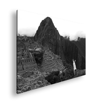 Hauptbild Schwarz & Weiß Standart