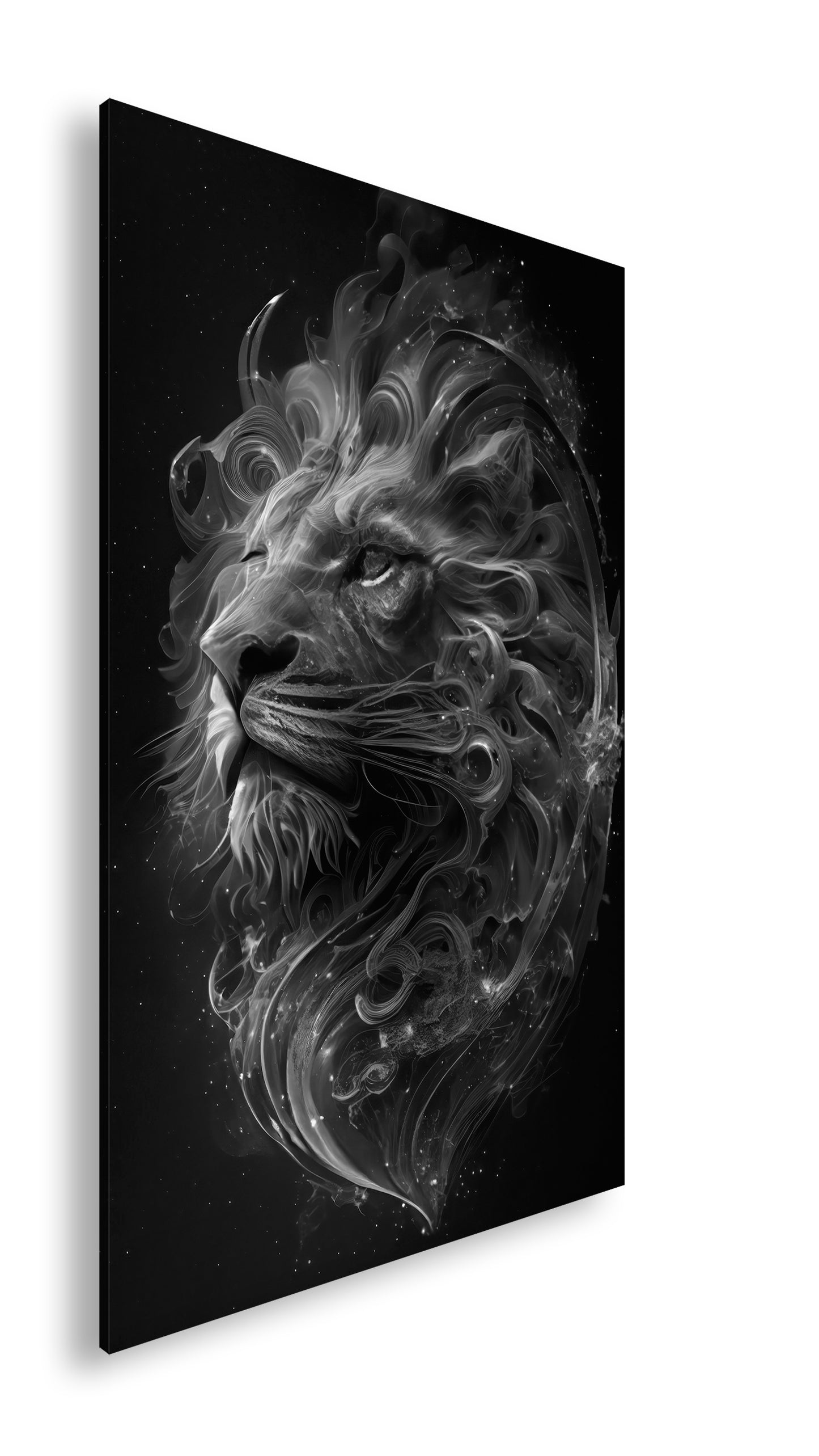 Hauptbild Schwarz & Weiß Standart