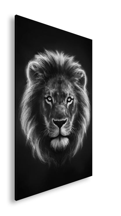 Hauptbild Schwarz & Weiß Standart