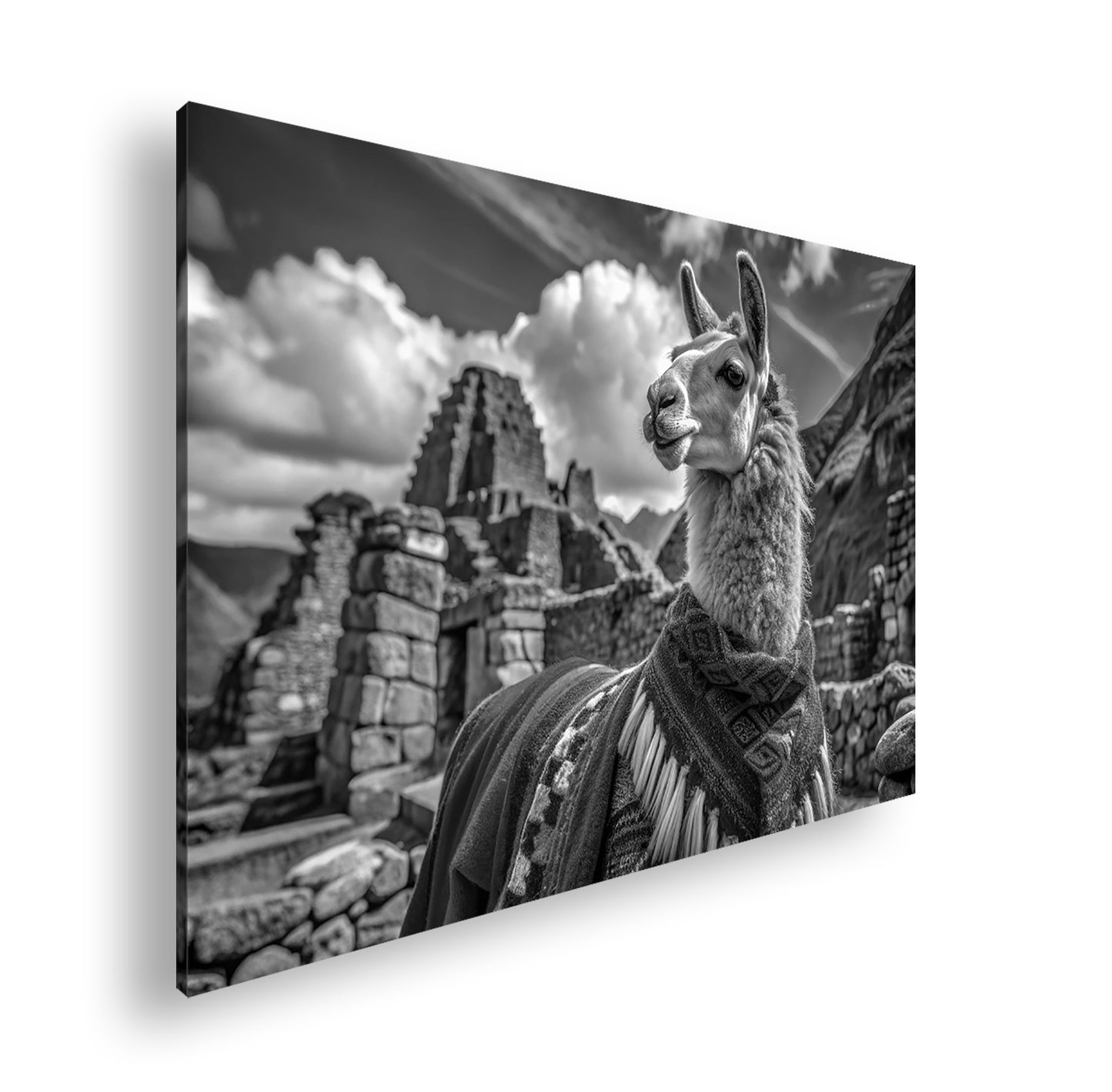 Hauptbild Schwarz & Weiß Standart