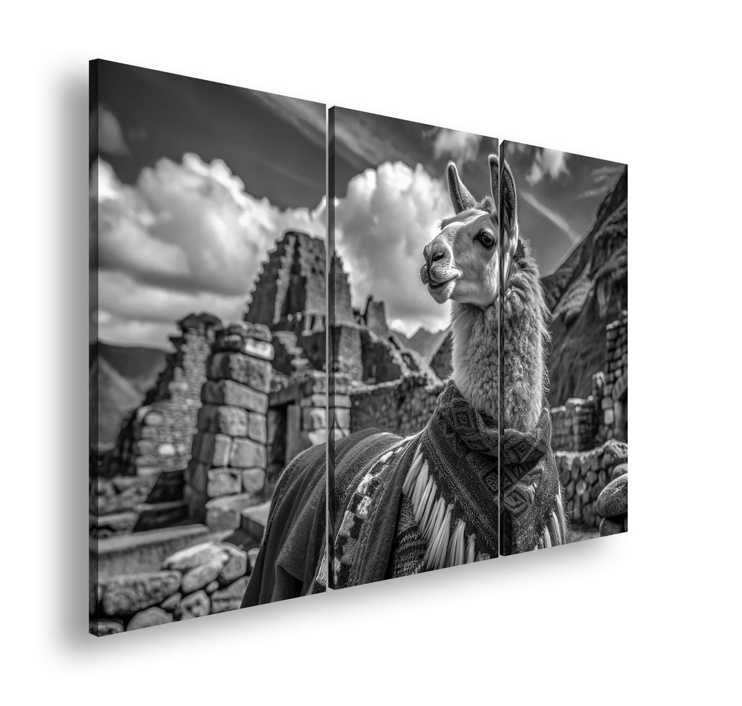 Hauptbild Schwarz & Weiß 3 Teilig