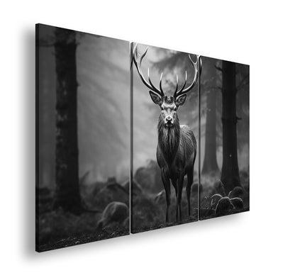 Hauptbild Schwarz & Weiß 3 Teilig