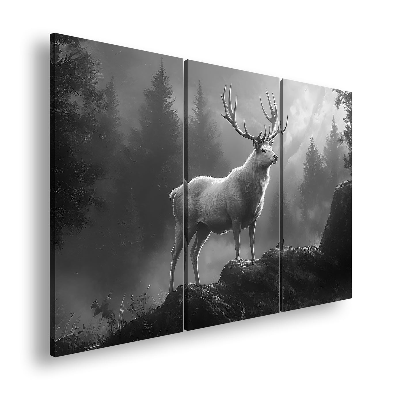 Hauptbild Schwarz & Weiß 3 Teilig