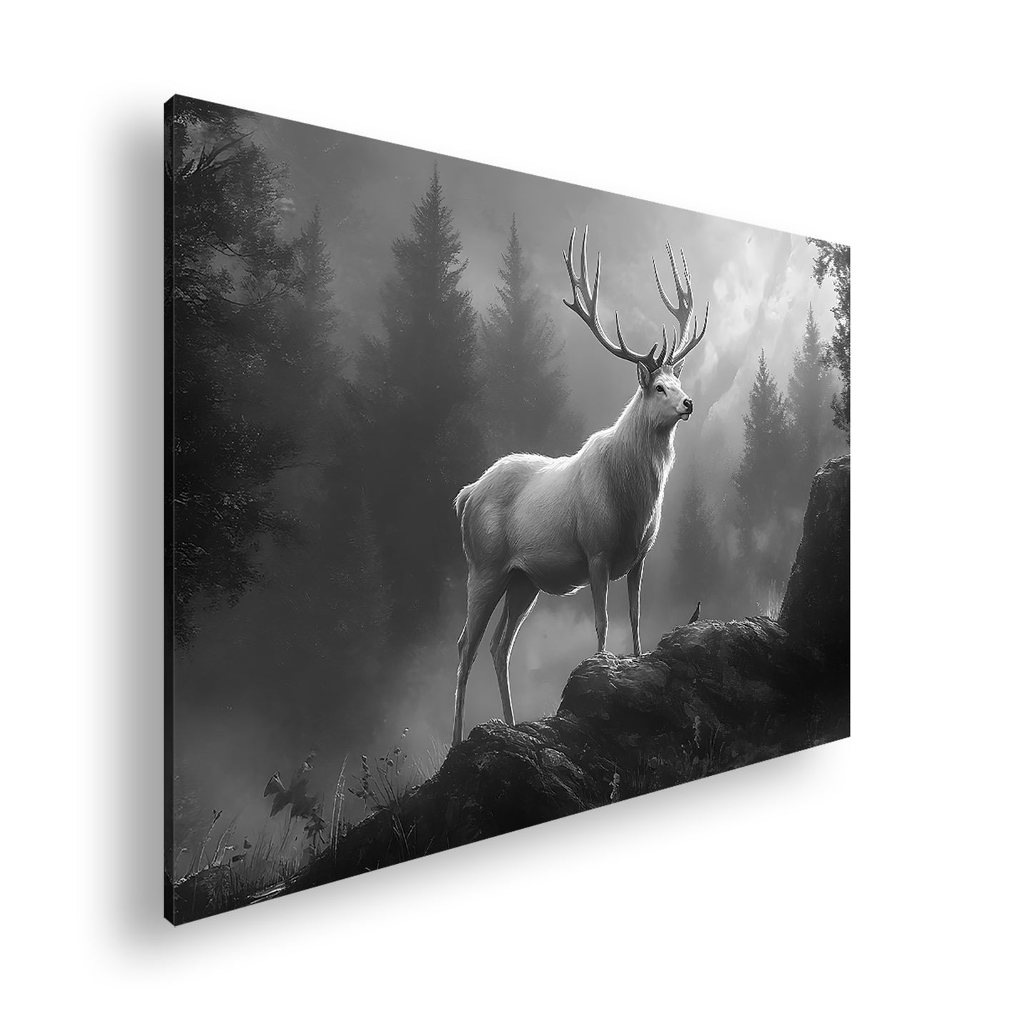 Hauptbild Schwarz & Weiß Standart