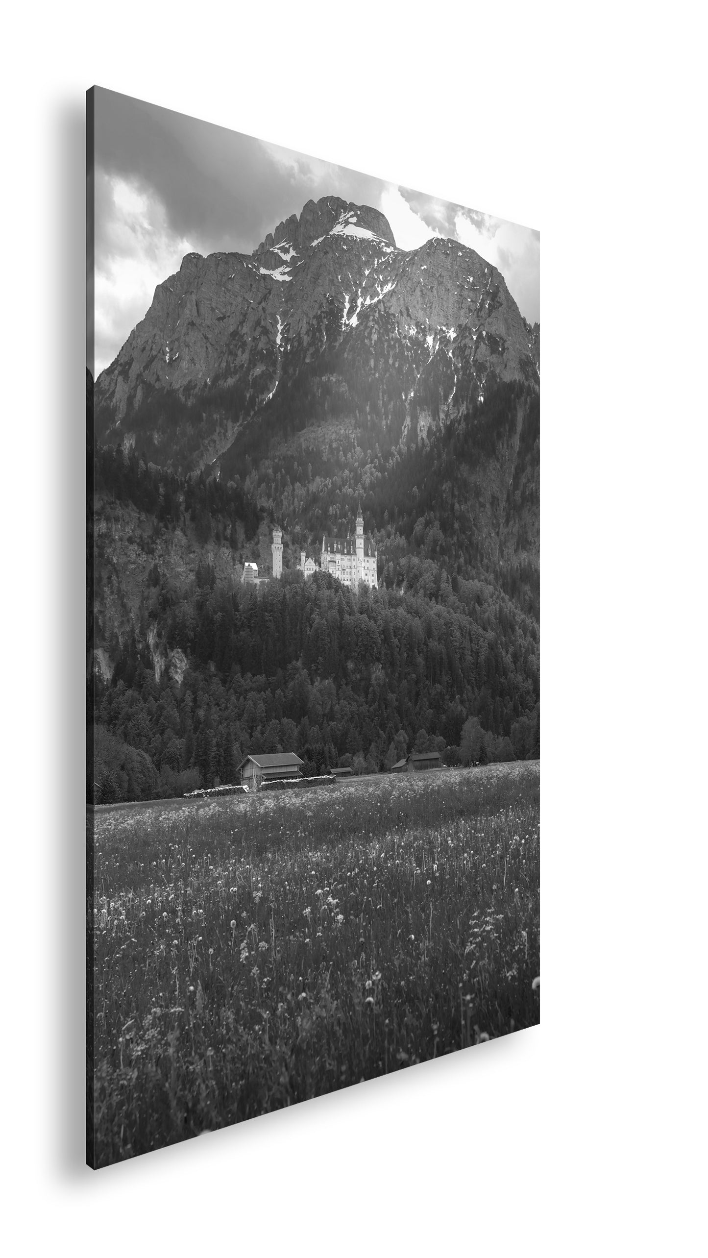 Hauptbild Schwarz & Weiß Standart