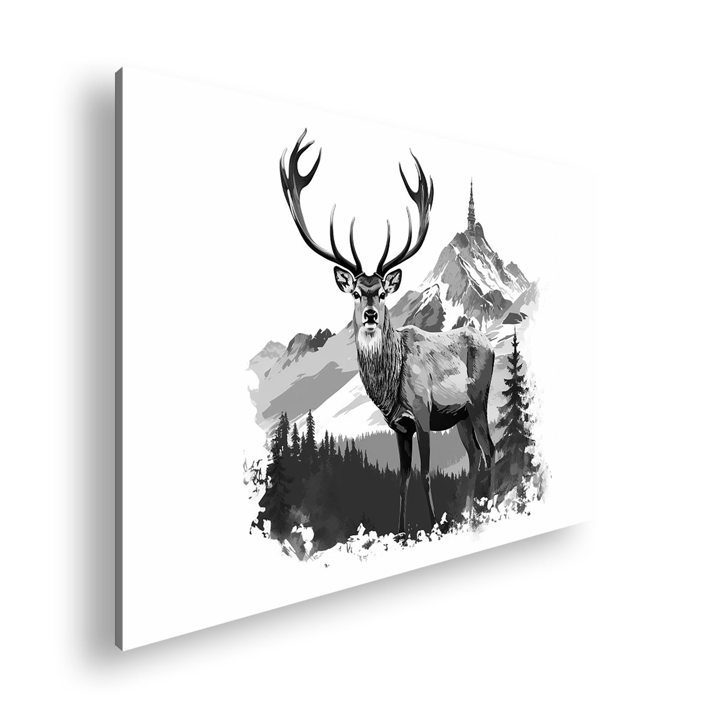 Hauptbild Schwarz & Weiß Standart