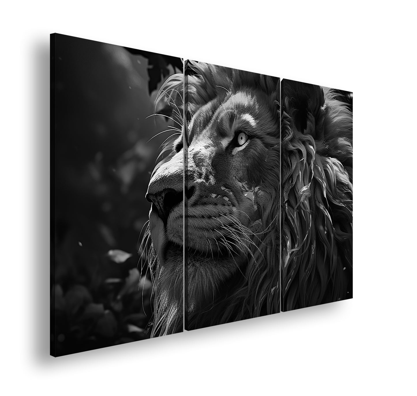 Hauptbild Schwarz & Weiß 3 Teilig