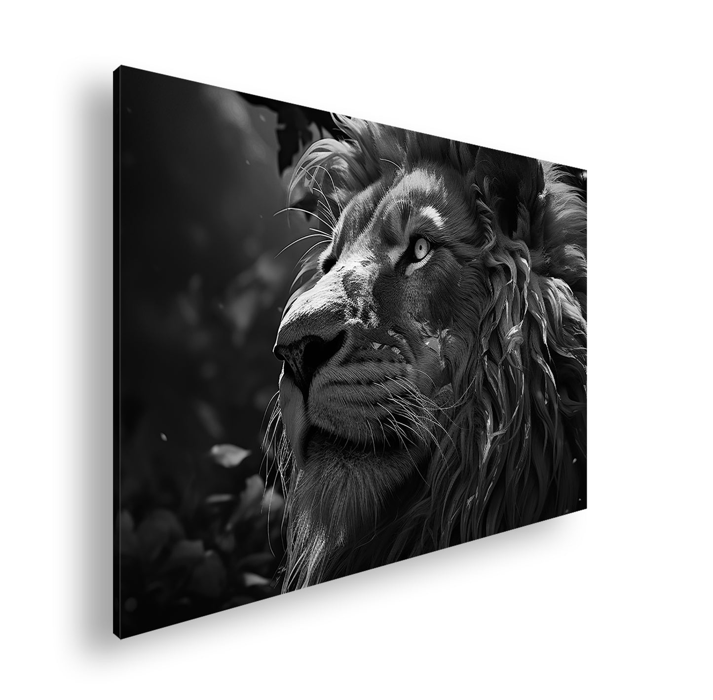 Hauptbild Schwarz & Weiß Standart