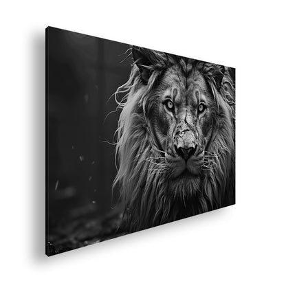 Hauptbild Schwarz & Weiß Standart