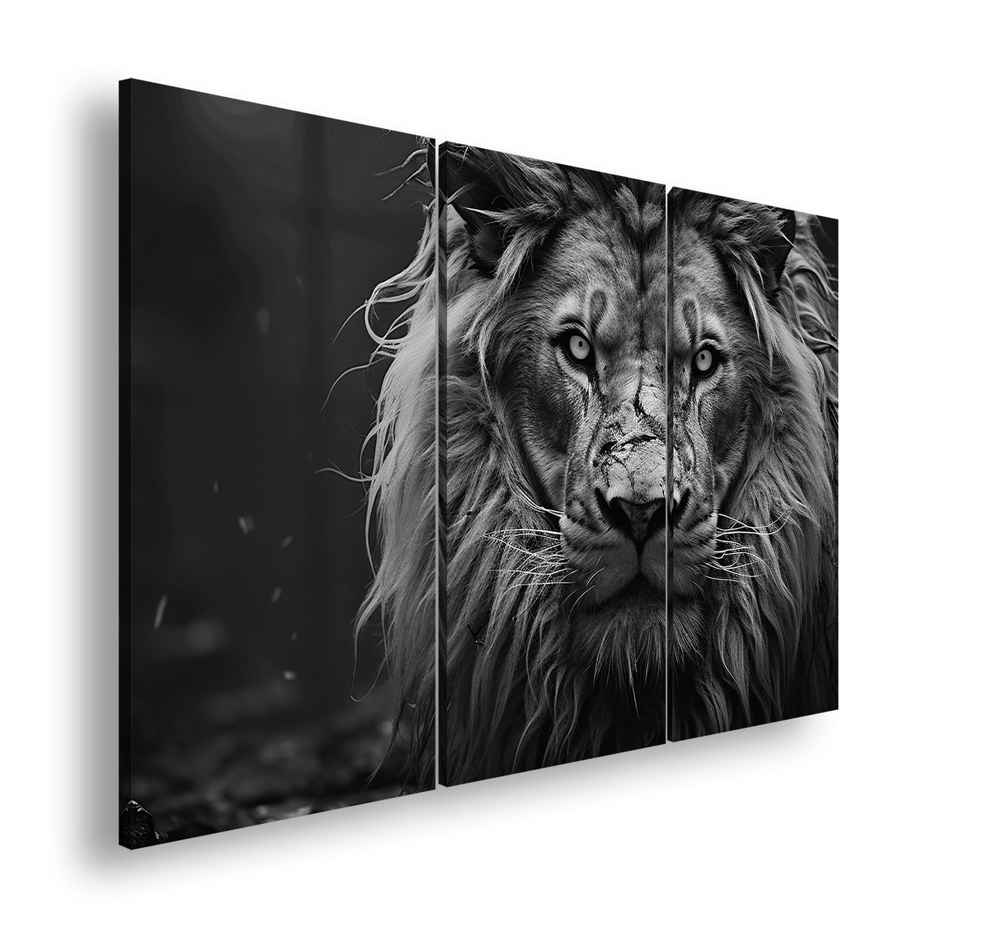 Hauptbild Schwarz & Weiß 3 Teilig