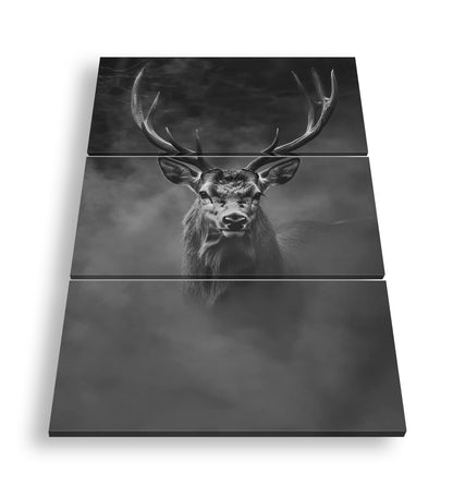 Hauptbild Schwarz & Weiß 3 Teilig