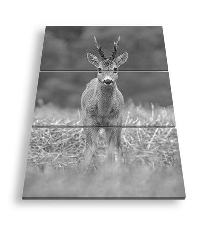 Hauptbild Schwarz & Weiß 3 Teilig