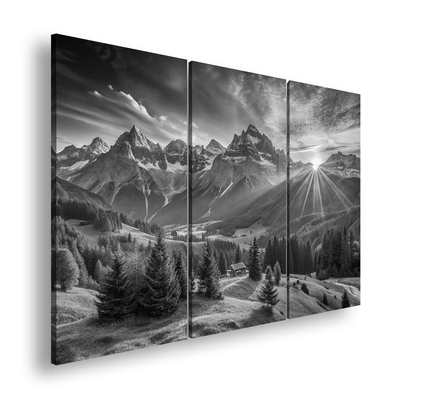 Hauptbild Schwarz & Weiß 3 Teilig