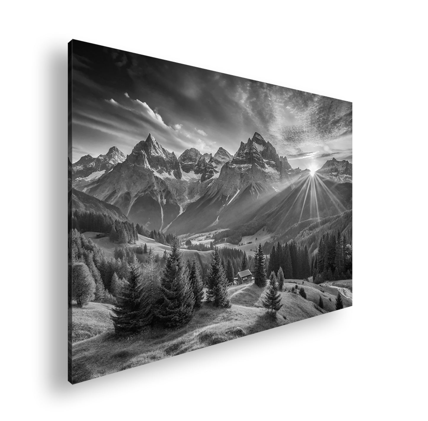 Hauptbild Schwarz & Weiß Standart