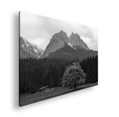 Hauptbild Schwarz & Weiß Standart