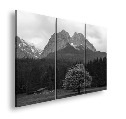 Hauptbild Schwarz & Weiß 3 Teilig