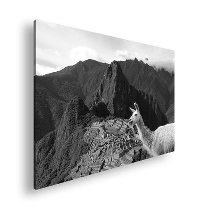 Hauptbild Schwarz & Weiß Standart