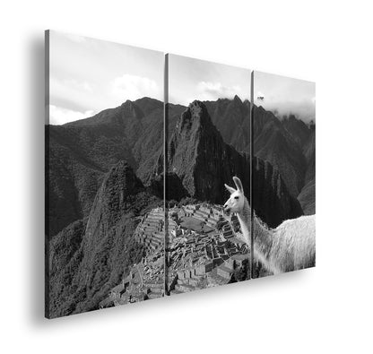 Hauptbild Schwarz & Weiß 3 Teilig