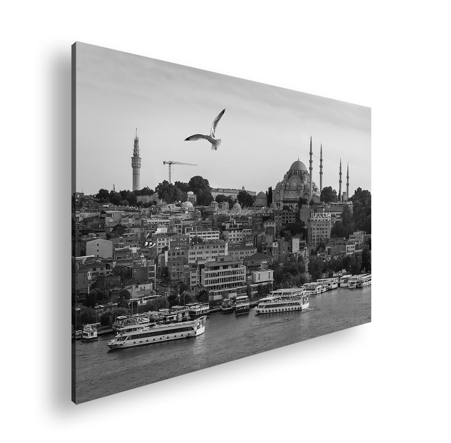 Hauptbild Schwarz & Weiß Standart