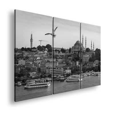 Hauptbild Schwarz & Weiß 3 Teilig