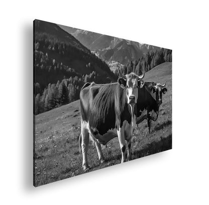 Hauptbild Schwarz & Weiß Standart