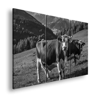 Hauptbild Schwarz & Weiß 3 Teilig