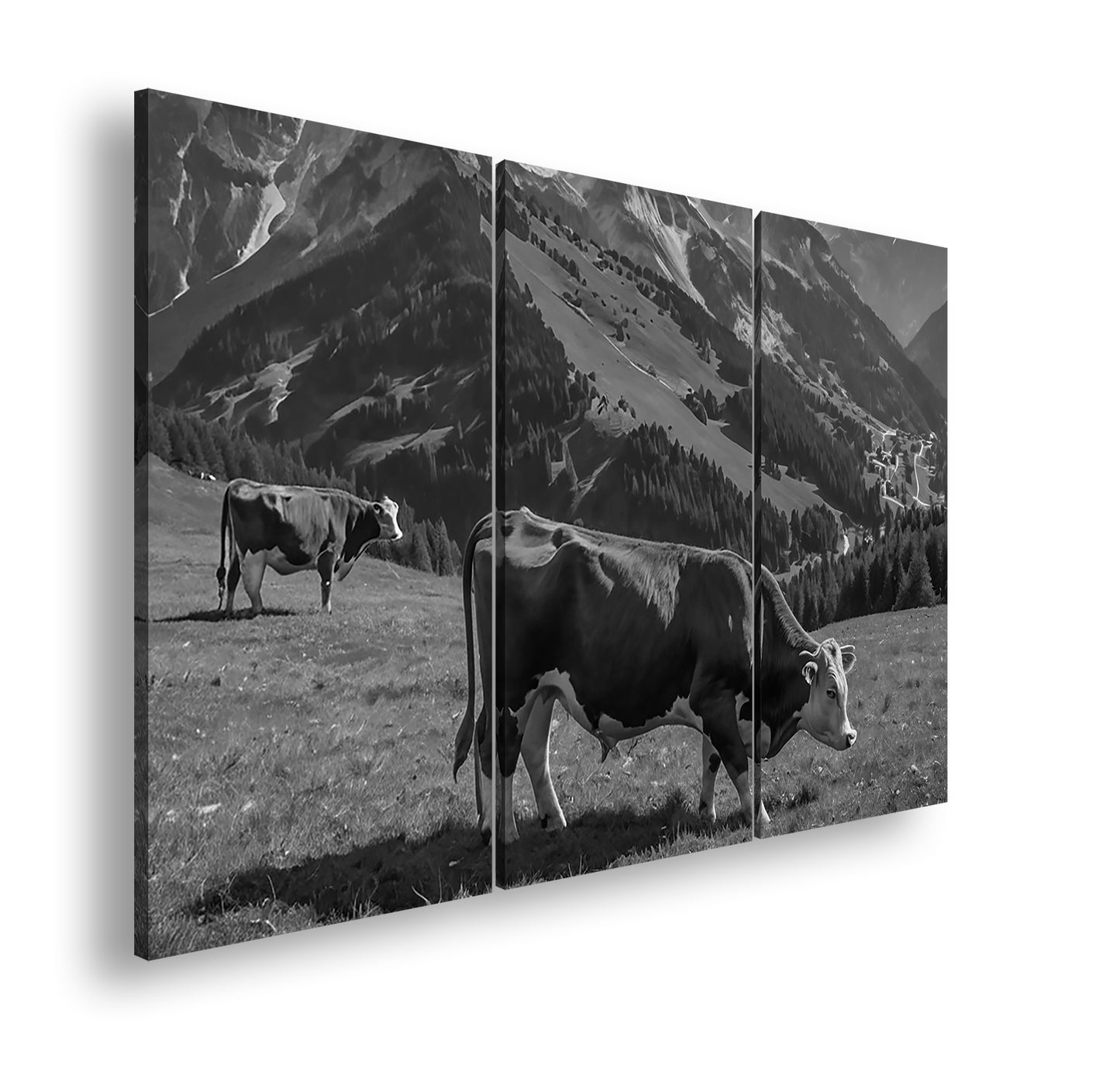 Hauptbild Schwarz & Weiß 3 Teilig