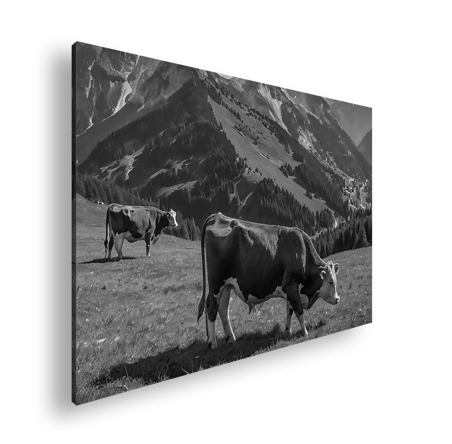 Hauptbild Schwarz & Weiß Standart