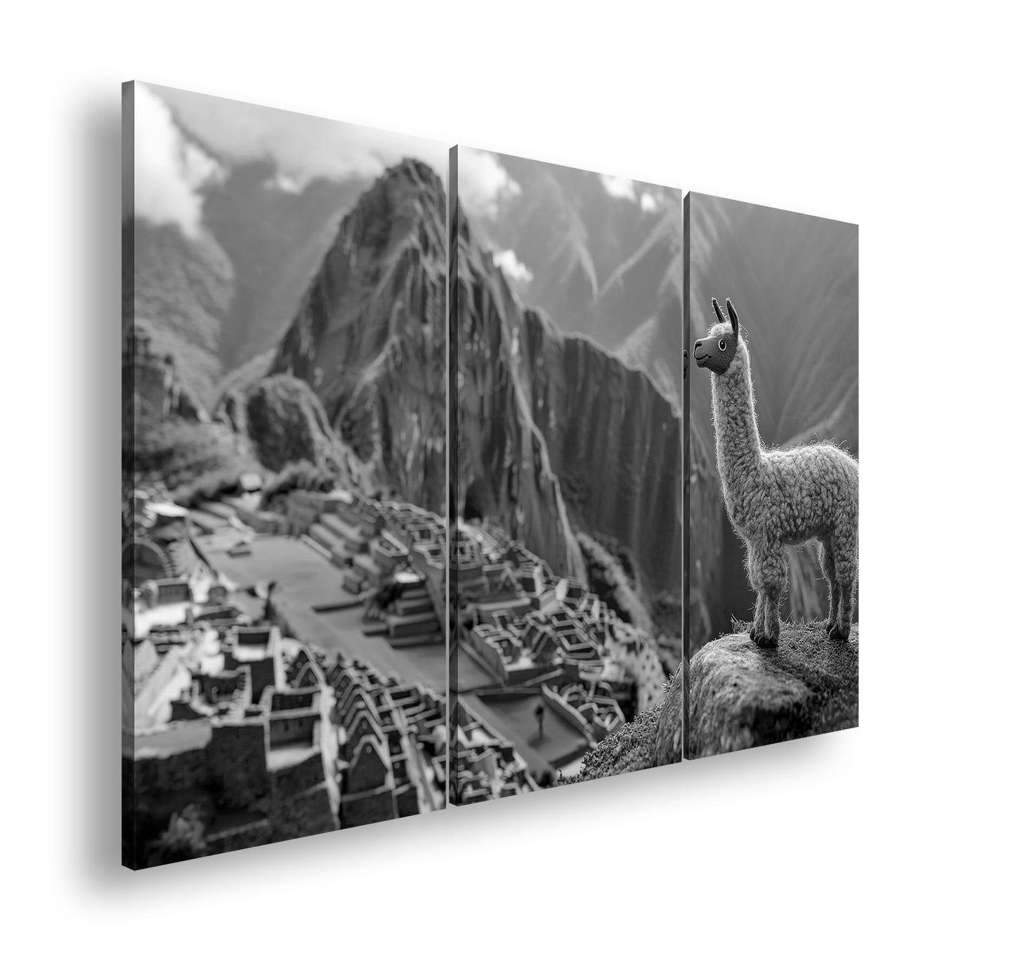 Hauptbild Schwarz & Weiß 3 Teilig