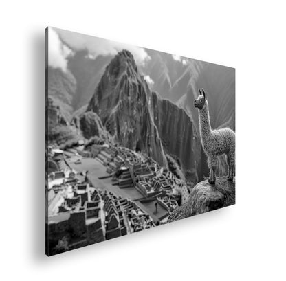 Hauptbild Schwarz & Weiß Standart