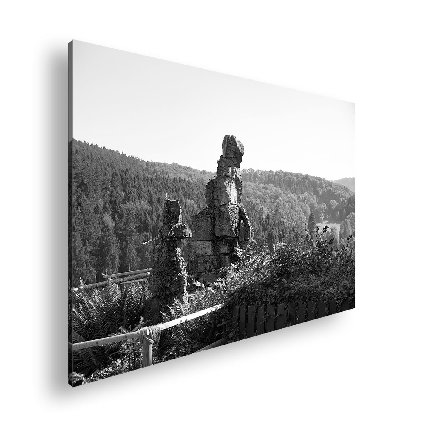 Hauptbild Schwarz & Weiß Standart