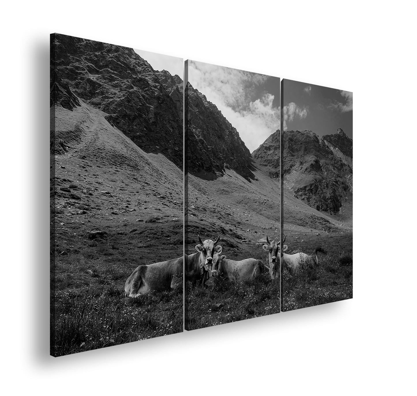 Hauptbild Schwarz & Weiß 3 Teilig