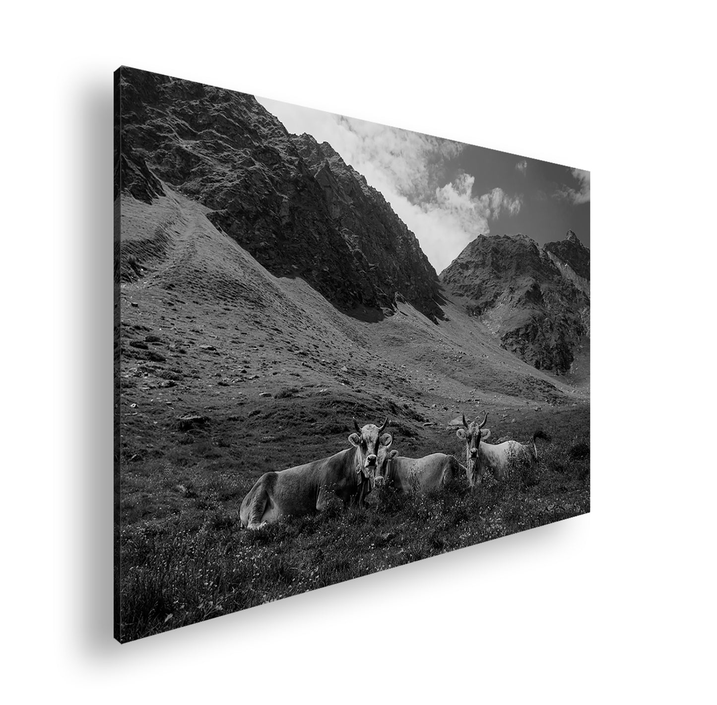 Hauptbild Schwarz & Weiß Standart