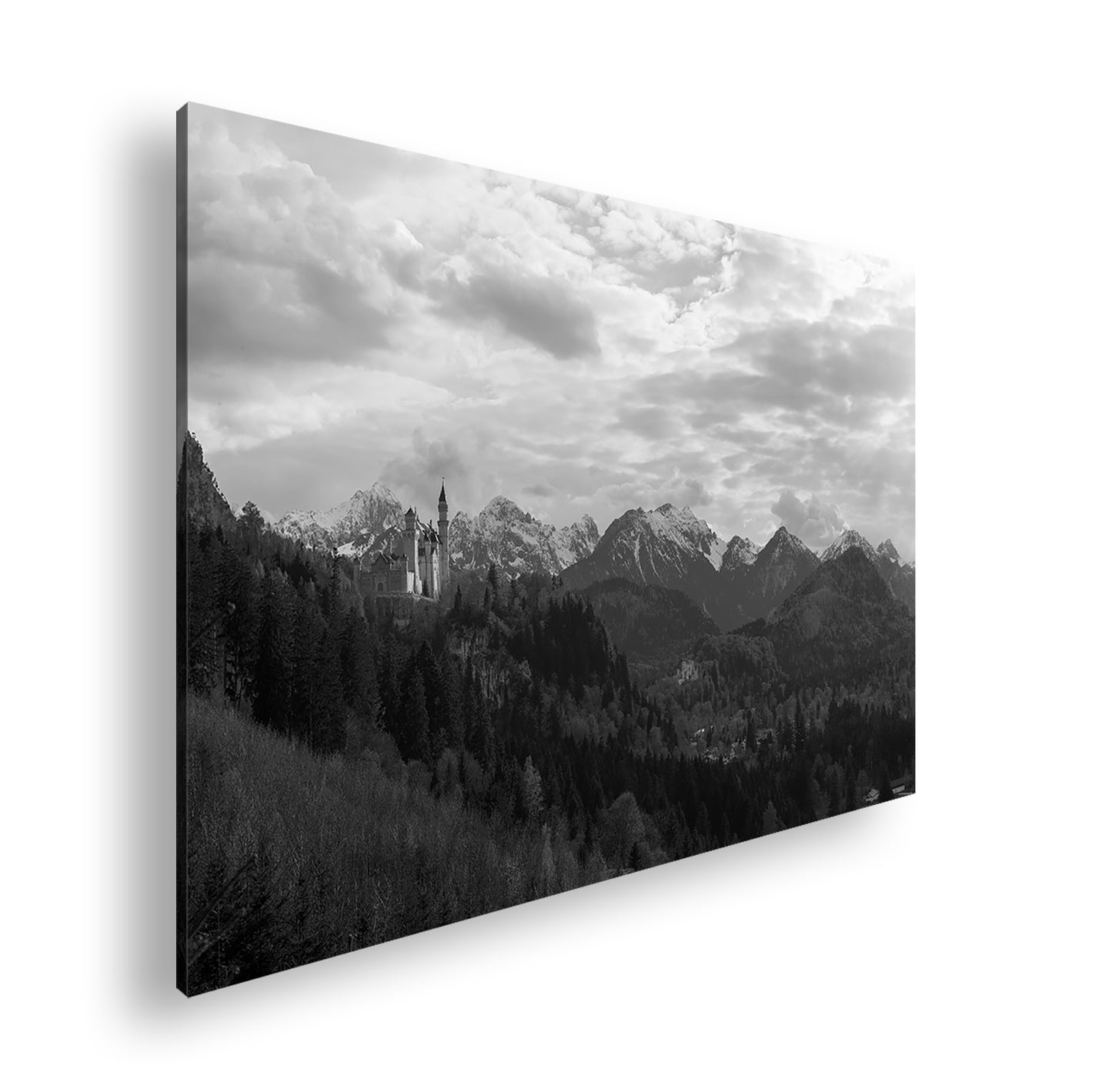 Hauptbild Schwarz & Weiß Standart