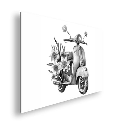 Hauptbild Schwarz & Weiß Standart