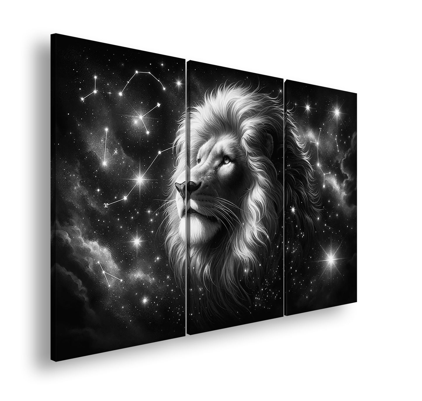 Hauptbild Schwarz & Weiß 3 Teilig