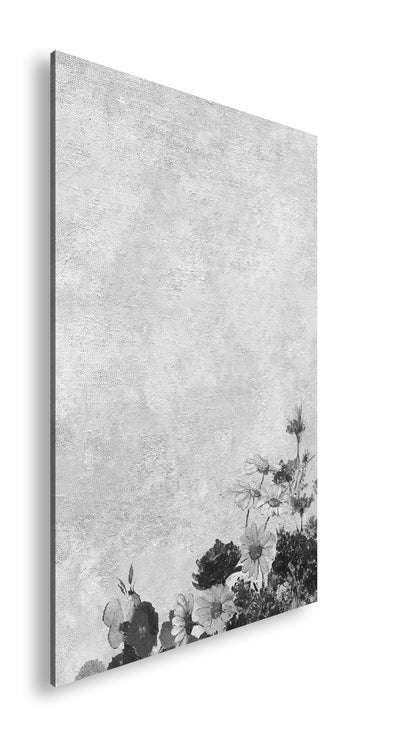 Hauptbild Schwarz & Weiß Standart